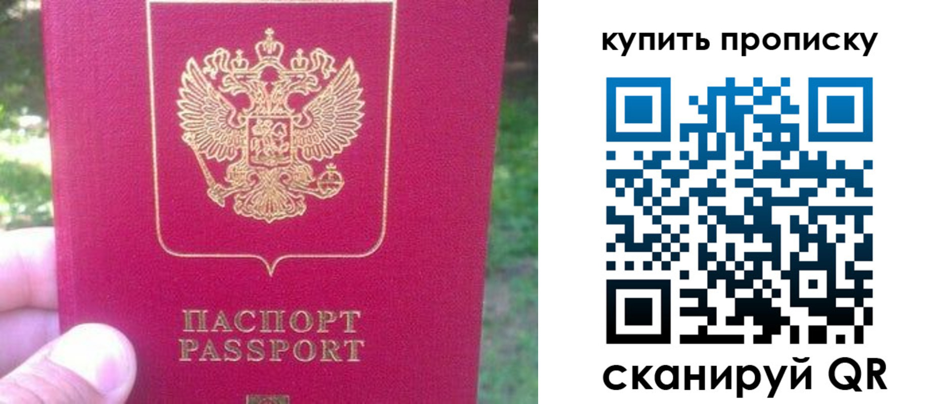 временная регистрация для школы в Боровичах